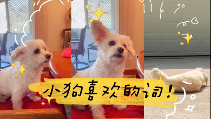 “Saat bicara tentang kata favorit si kecil..!”