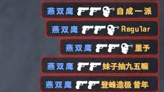 您就是 燕 双 鹰 ？