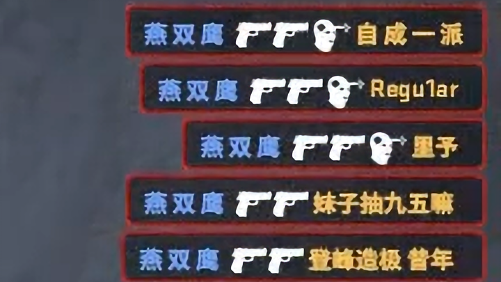 您就是 燕 双 鹰 ？