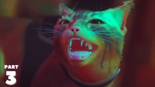 STRAY Walkthrough Part 3 | No Commentary【PS5】