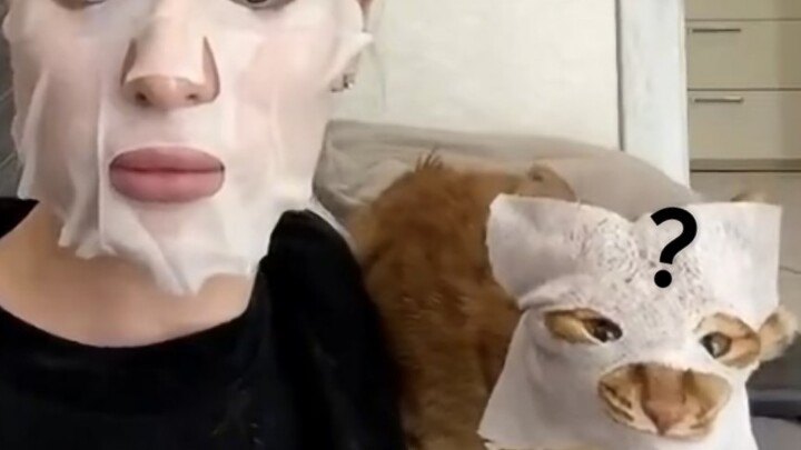 Da Ju: Let me see what's going on.