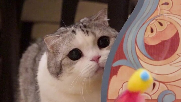 Xe tải lớn chơi với xe tải lớn