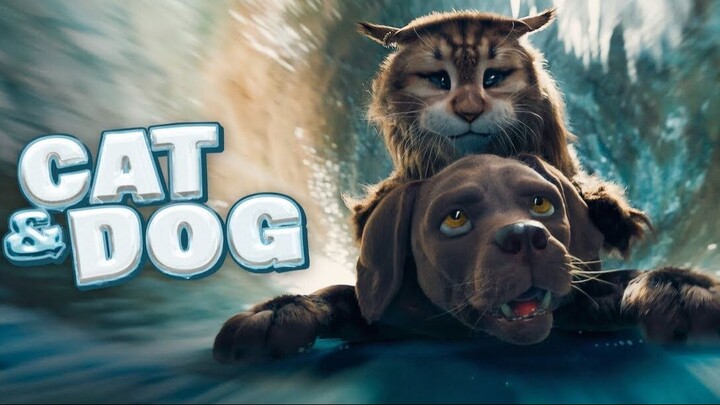 Cat & Dog (2024) - SUB INDO