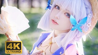 请到樱花树下，与我相见吧【4K】
