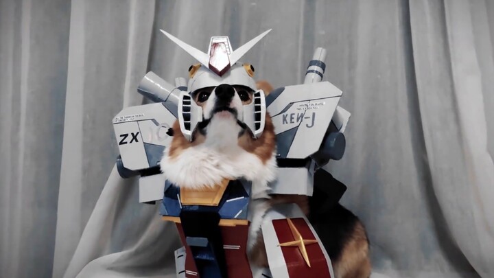 Tôi sẽ xuất kích dưới dạng Gundam!