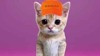 A big internet-famous doll's lost dance performance