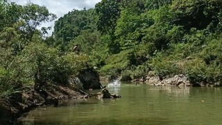 at the river