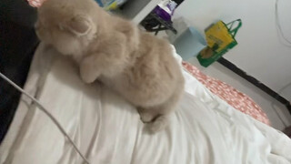 حقًا لست أنا من يتباهى