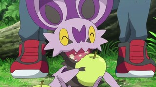 Dad Xiaozhi is so gentle to his newborn Pokémon!