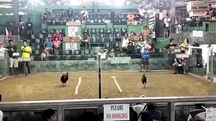 12/28/25 3wins@segundo arena 1st fyt W....pangalawang pagpasa sa exam nya to