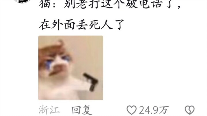 When Cats Get a Smartwatch!