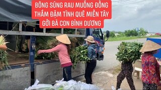 Bà con Miền Tây cùng chung tay với MTQ hỗ trợ bà con khó khăn Bình Dương