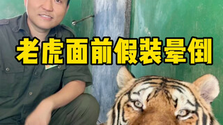 إذا دُهشت، فلن أقول شيئًا على الإطلاق.