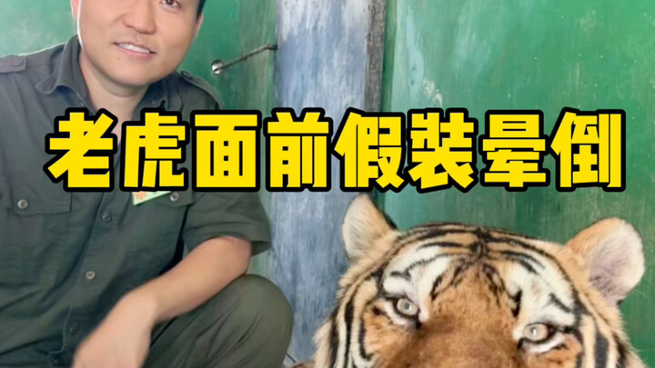 一晕一个不吱声啊