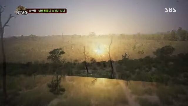 Law of the Jungle in Himalayas [1] ENG SUB