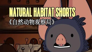 220512《自然动物观察局》- Natural Habitat Shorts