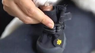 Does his little face make you smile? fyp foryou dogs cutedog dogshoes