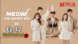 Meow the Secret Boy Hindi Dubbed S01 E12(720)