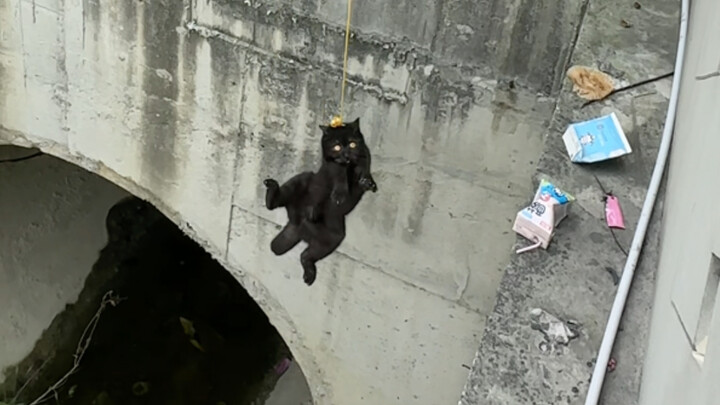 ممنوع أكل العشب! انهض وتناول اللحم!