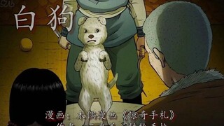 人贩子天打雷劈！