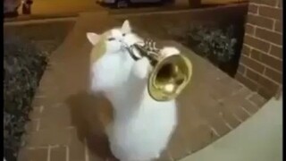 万圣节，不给糖就捣乱