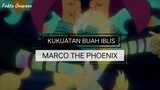 WAJIB TAHU!!! Data lengkap buah iblis Marco the Phoenix & 🔥