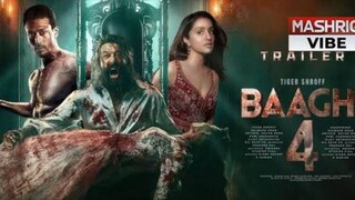 A FlopBuster movie bhaaghi 4