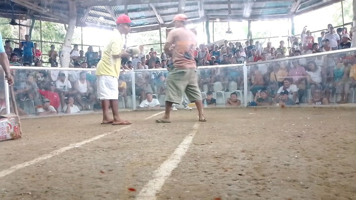 CRAZY GRAY ko lotlot sa ulutan sa pasko 25...