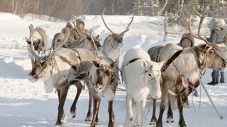 The  music of the Inuit.  The common bottlenose dolphins and Inuits have an egalitarian society