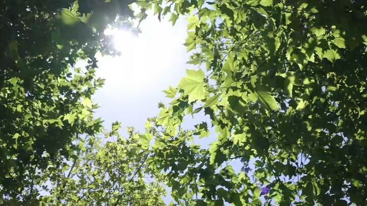 hidden love ep07 full engsub