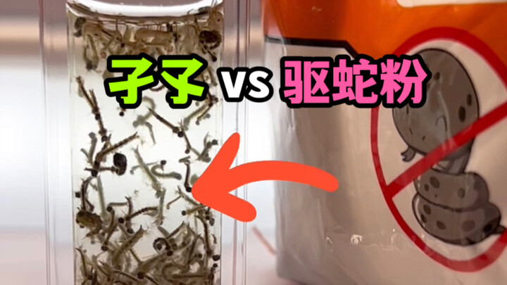 ถ้าเอาผงไล่งูไปโรยใส่ลูกน้ำยุงจำนวนหนึ่ง จะเกิดอะไรขึ้น?