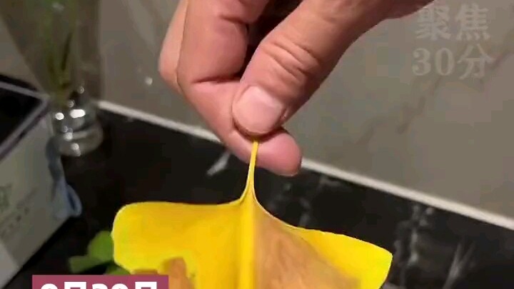 A handmade ginkgo butterfly crafted by a hotel service manager—a level most people can’t even reach!