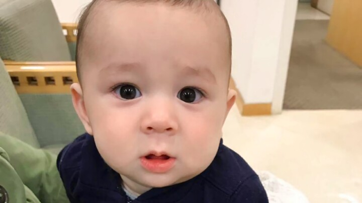 [William | Milk William] He seems to know he’s super cute.