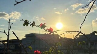 为了挣脱，我必须按照自己的方式走路，哪怕是在所谓的错的道路上拼命向前。然而这是必要的，即使是错，也是自己争取来的，意义非同寻常。我必须以这样的反叛来抗拒正确对我的规训，我不要别人告诉我什么是应当或不