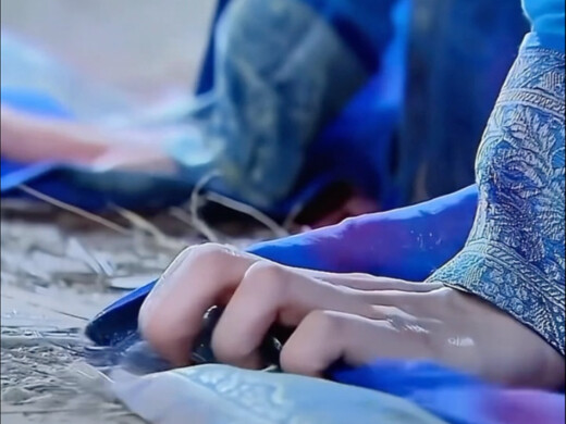 真变了你又不乐意