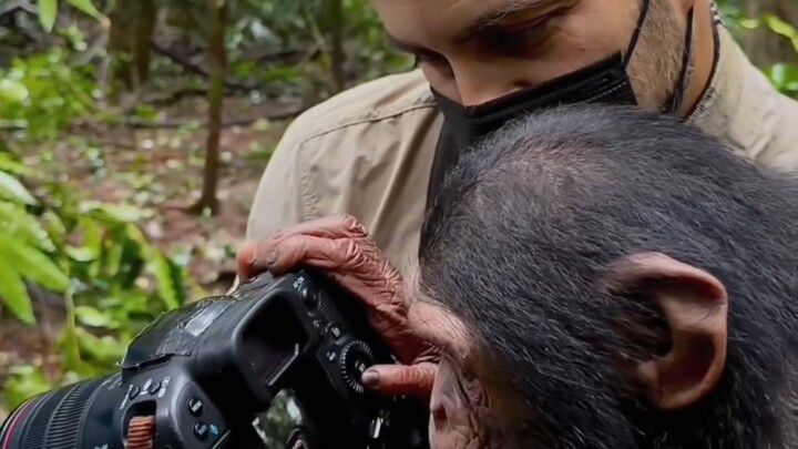 Para fotografer yang berteman dengan satwa liar