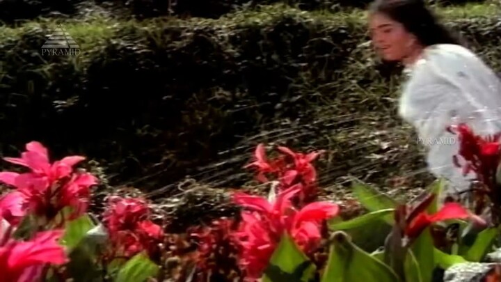 தனத்தனியாக HD Video Song _ சங்கமம் _ ஜெமினி கணேசன் _ கீதாஞ்சலி _  T.K.ரா(720P