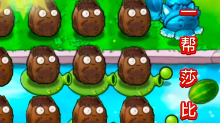 نحن تانغ كنغ لانغ لانغ!!!