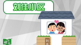 【梗百科】刘佳小区是啥情况？卖房妲己？