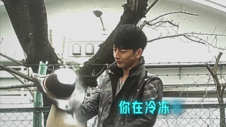 你在冬天的抗寒能力：