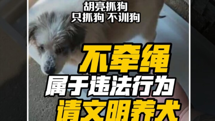 A dog was chasing people, and repeated劝说 failed. Kudos to the uncle for taking a firm stance! Differ