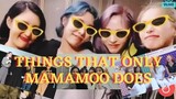 Things That Only Mamamoo Does