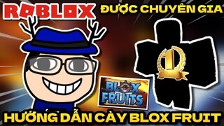 Mình được CHUYÊN GIA hướng dẫn CÀY CUỐC tựa game BLOX FRUIT (Roblox)