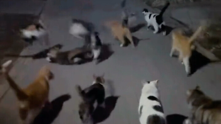 Mimi shows me the way