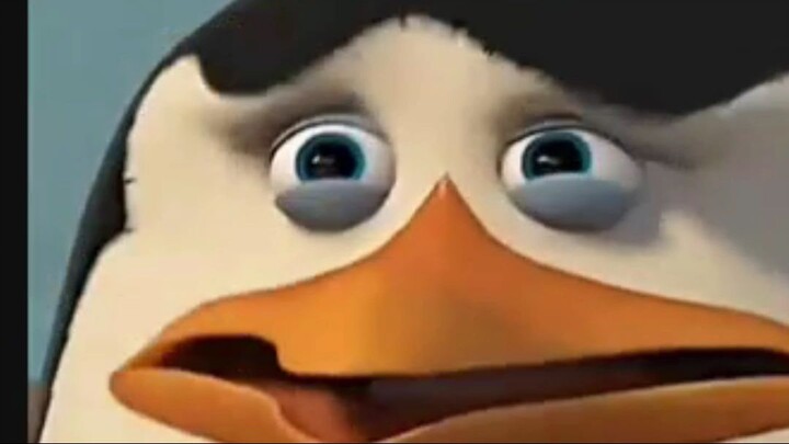 PINGUIS DE MANDA GASCA