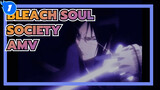 BLEACH Soul Society AMV_1