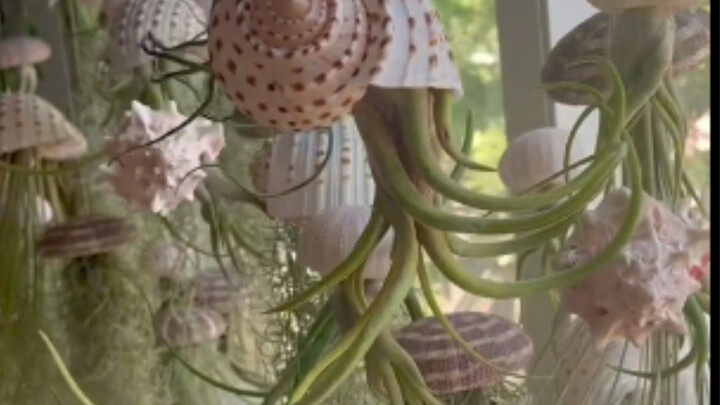 The most mind-blowing potted plants I've ever seen