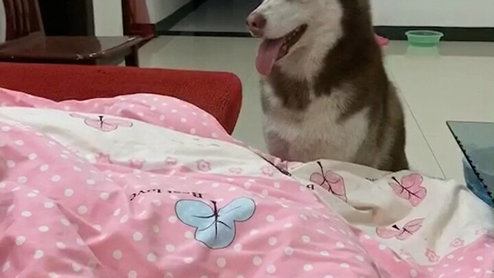 Disdain from Grandma!