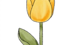 Drawing Yellow Tulip
