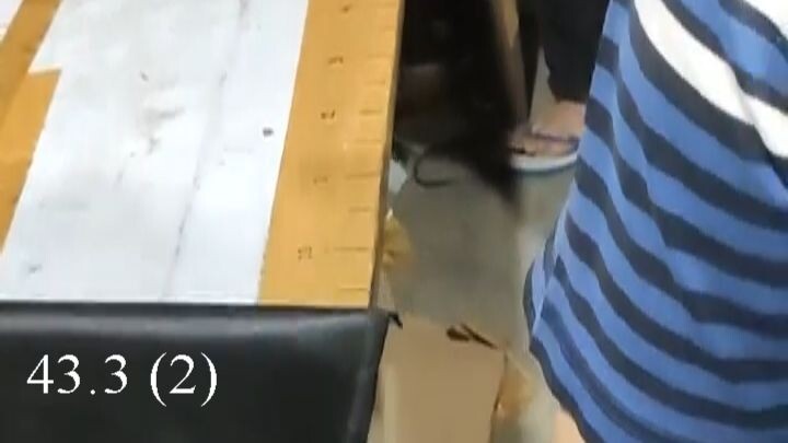 43.3 (2)